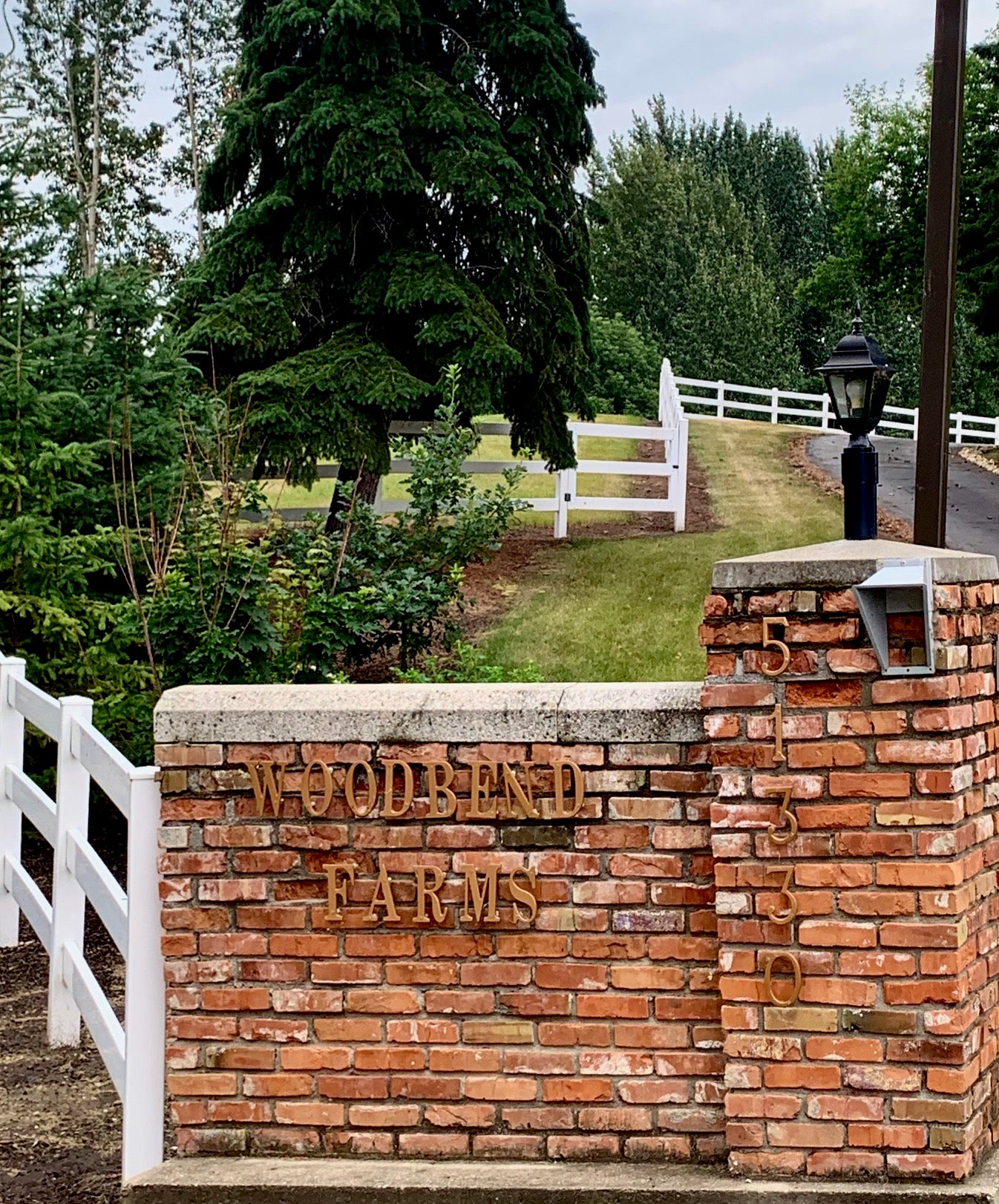 Woodbend Kennels Viewing Appointment