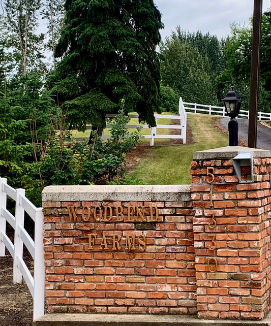 Woodbend Kennels Viewing Appointment